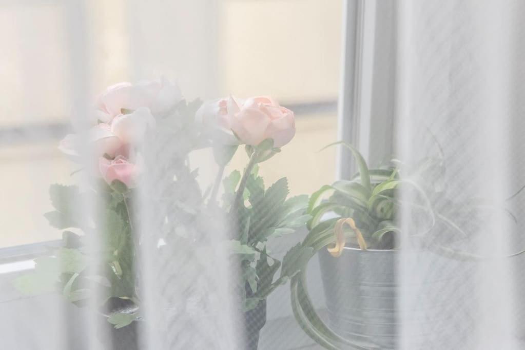Vintage Dream Near The Center Of Apartment *