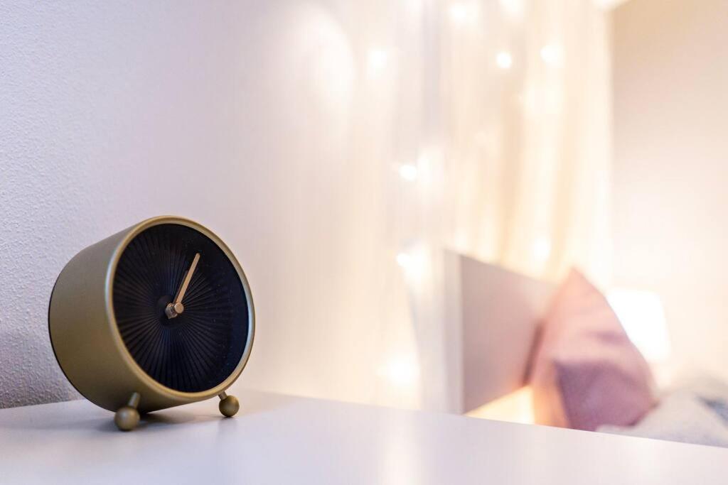 Vintage Dream Near The Center Of Apartment *